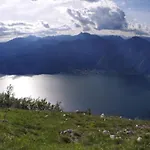 Elena *