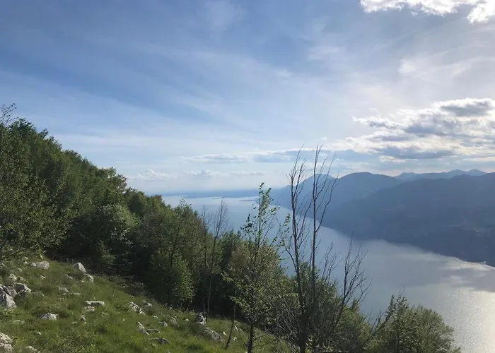 公寓 Elena 布雷佐内加尔达