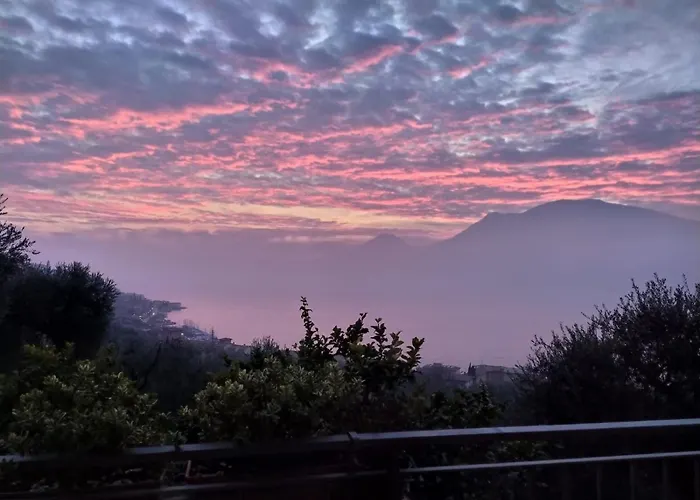 Elena * 布雷佐内加尔达